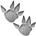 Patinha Dupla de Prata